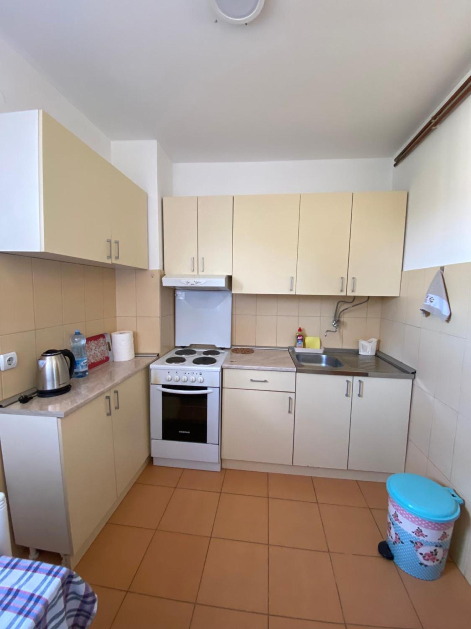 Apartmani Dora Leskovac 莱斯科瓦茨 外观 照片